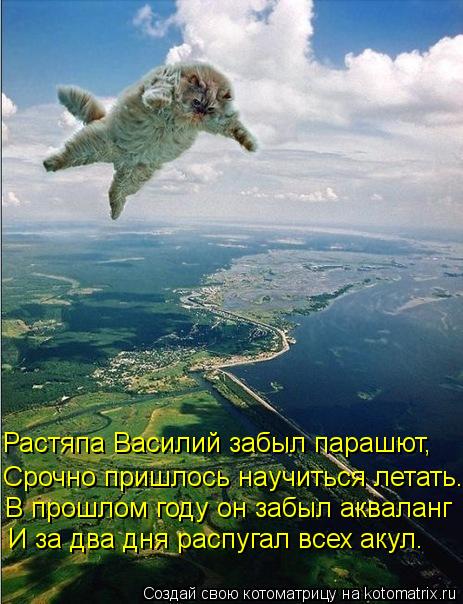 Котоматрица: Срочно пришлось научиться летать. Растяпа Василий забыл парашют, В прошлом году он забыл акваланг И за два дня распугал всех акул.