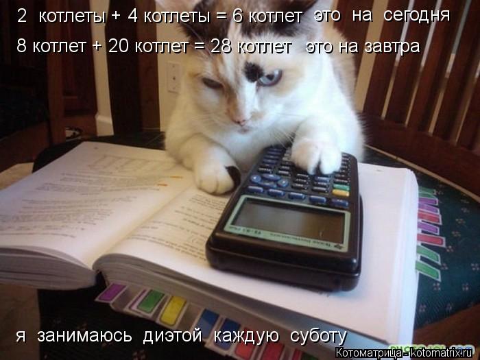 Котоматрица: 2  котлеты + 4 котлеты = 6 котлет это  на  сегодня 8 котлет + 20 котлет = 28 котлет это на завтра я  занимаюсь  диэтой  каждую  суботу