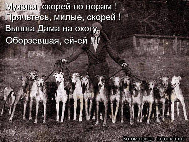 Котоматрица: Мужики, скорей по норам ! Прячьтесь, милые, скорей ! Вышла Дама на охоту, Оборзевшая, ей-ей !!!
