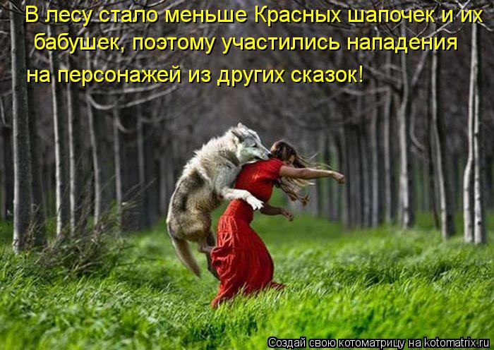 Котоматрица: В лесу стало меньше Красных шапочек и их бабушек, поэтому участились нападения на персонажей из других сказок!