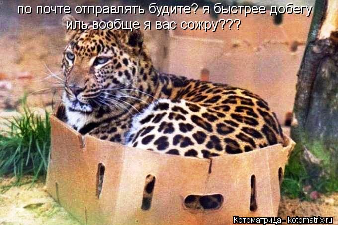 по почте отправлять будите? я быстрее добегу иль вообще я вас сожру???... Котоматрица: по почте отправлять будите? я быстрее добегу иль вообще я вас сожру???