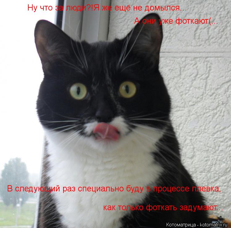 Ну что за люди?!Я же ещё не домылся... А они уже фоткают(... В следующий раз специально буду в процес... Котоматрица: Ну что за люди?!Я же ещё не домылся... А они уже фоткают(... В следующий раз специально буду в процессе плевка , как только фоткать задумают...