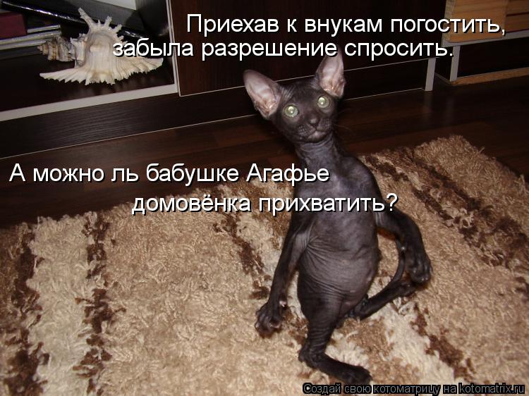 Приехав к внукам погостить, забыла разрешение спросить. А можно ль бабушке Агафье домовёнка прихватит... Котоматрица: Приехав к внукам погостить, забыла разрешение спросить. А можно ль бабушке Агафье домовёнка прихватить?