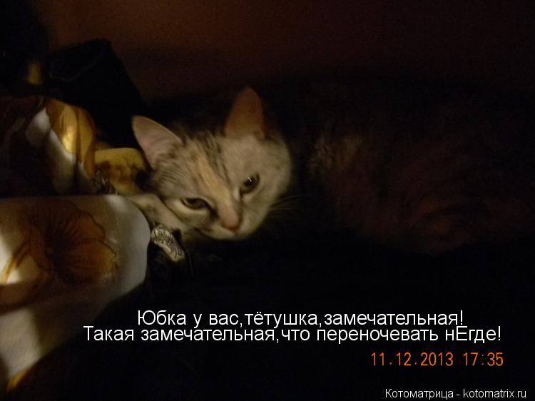 Котоматрица: Юбка у вас,тётушка,замечательная! Такая замечательная,что переночевать нЕгде!