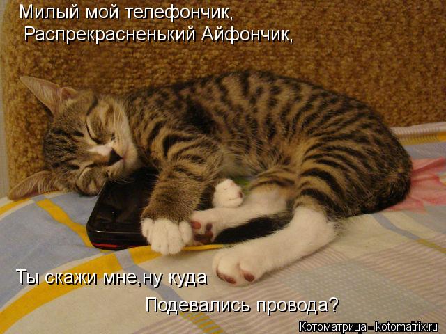 Котоматрица: Милый мой телефончик, Распрекрасненький Айфончик, Ты скажи мне,ну куда Подевались провода?