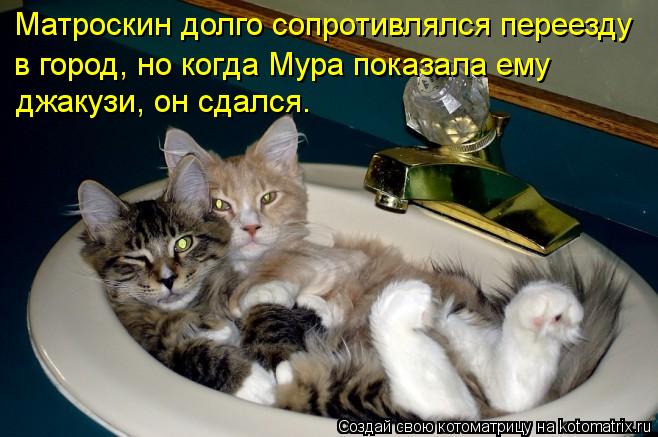 Котоматрица: Матроскин долго сопротивлялся переезду в город, но когда Мура показала ему джакузи, он сдался.