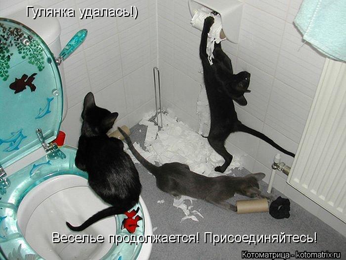 Котоматрица: Гулянка удалась!) Веселье продолжается! Присоединяйтесь!