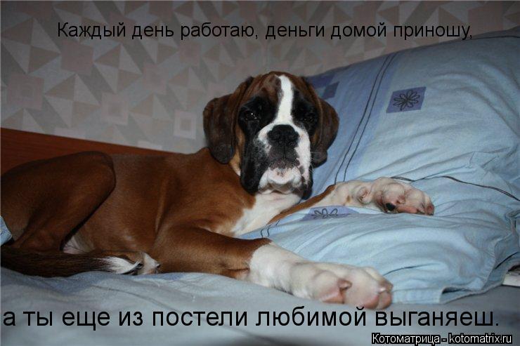 Котоматрица: Каждый день работаю, деньги домой приношу,  а ты еще из постели любимой выганяеш.