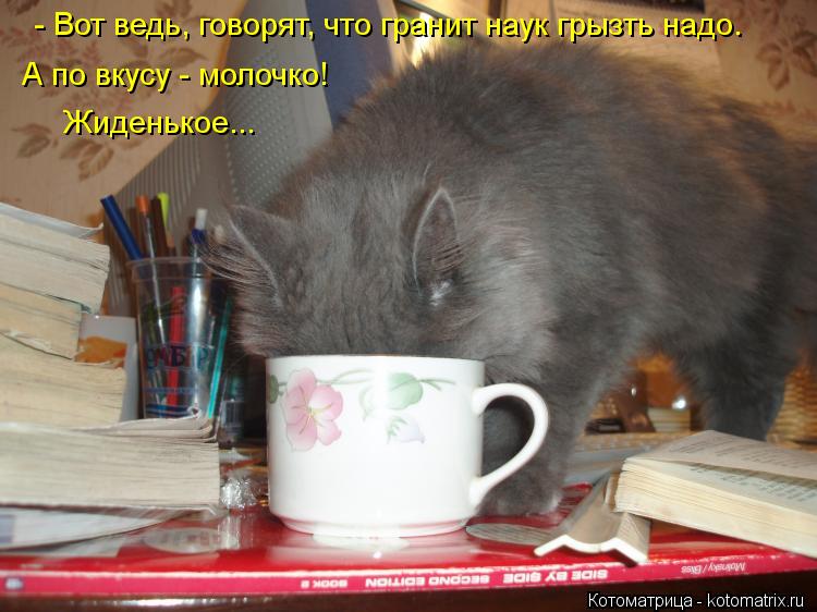 - Вот ведь, говорят, что гранит наук грызть надо. А по вкусу - молочко! Жиденькое...... Котоматрица: - Вот ведь, говорят, что гранит наук грызть надо. А по вкусу - молочко! Жиденькое...