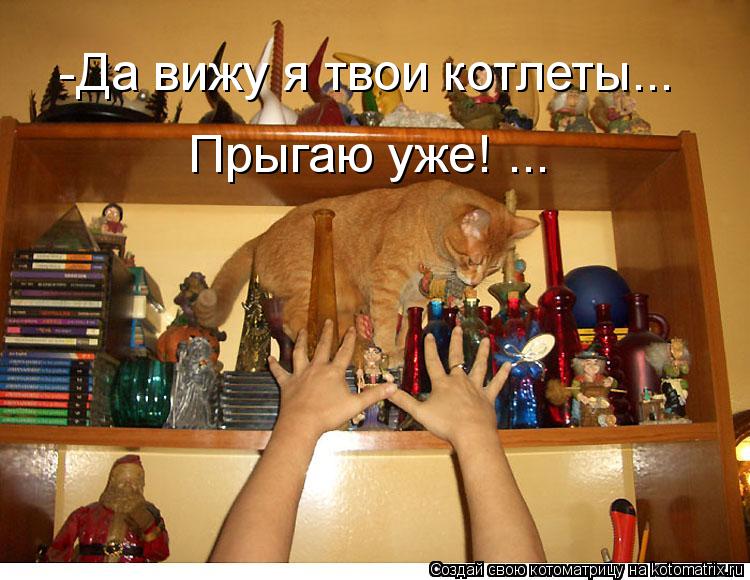-Да вижу я твои котлеты... Прыгаю уже! ...... Котоматрица: -Да вижу я твои котлеты... Прыгаю уже! ...