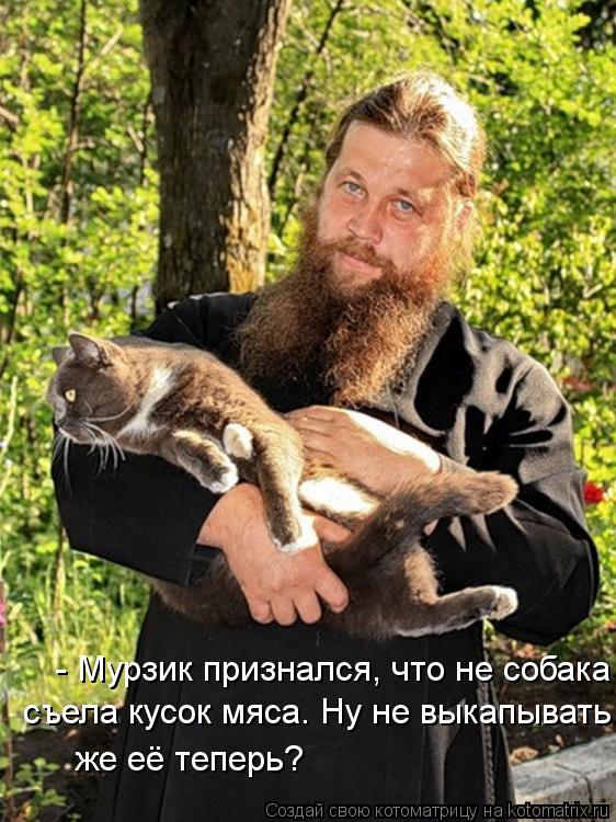 Котоматрица: - Мурзик признался, что не собака съела кусок мяса. Ну не выкапывать же её теперь?