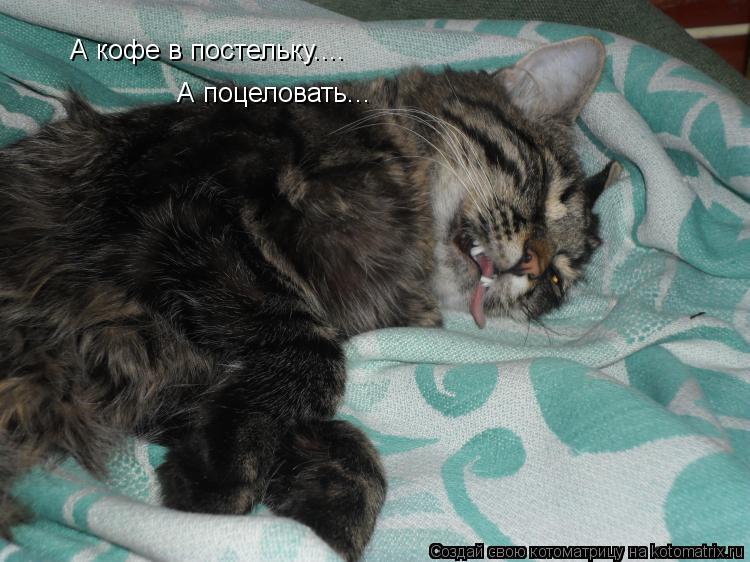 А кофе в постельку.... А поцеловать...... Котоматрица: А кофе в постельку.... А поцеловать...