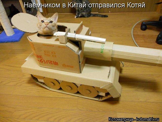 Наемником в Китай отправился Котяй... Котоматрица: Наемником в Китай отправился Котяй