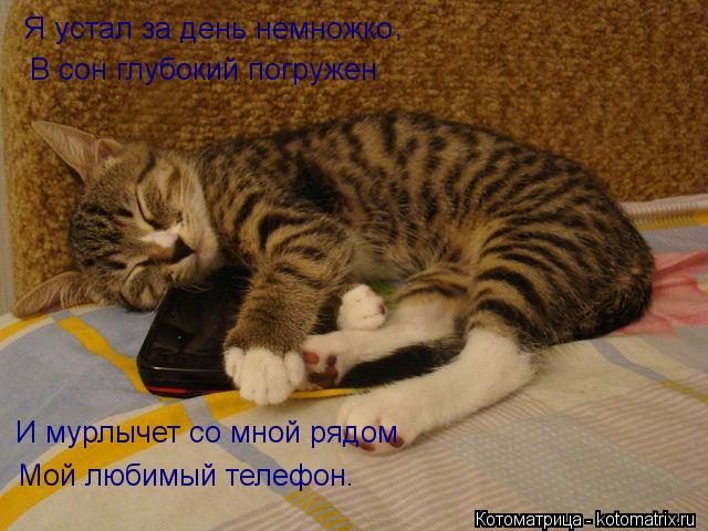 Котоматрица: И мурлычет со мной рядом Мой любимый телефон. Я устал за день немножко В сон глубокий погружен ,