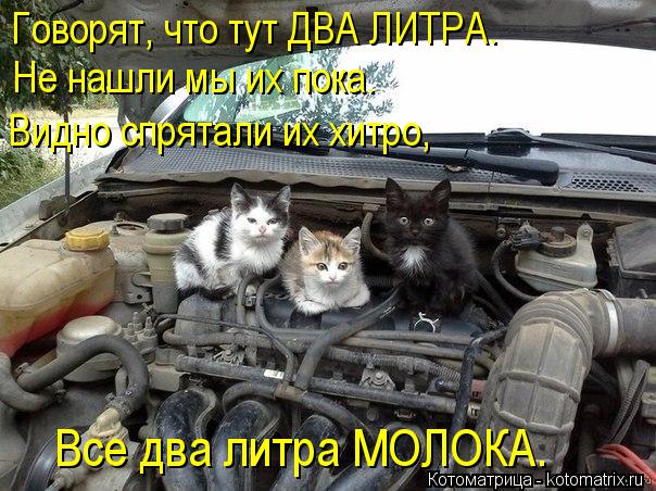 Котоматрица: Говорят, что тут ДВА ЛИТРА. Не нашли мы их пока. Видно спрятали их хитро, Все два литра МОЛОКА.