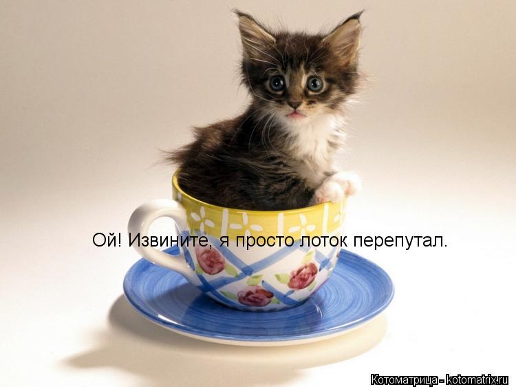 Котоматрица: Ой! Извините, я просто лоток перепутал.