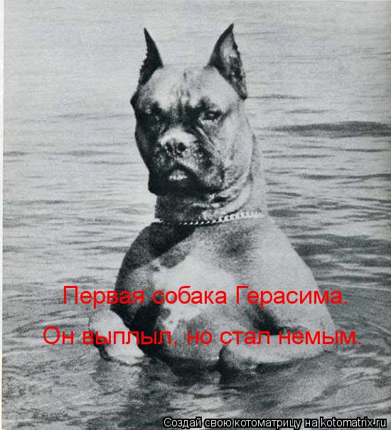 Котоматрица: Первая собака Герасима. Он выплыл, но стал немым.