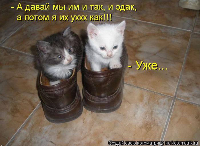 Котоматрица: - Уже... - А давай мы им и так, и эдак,  а потом я их уххх как!!!