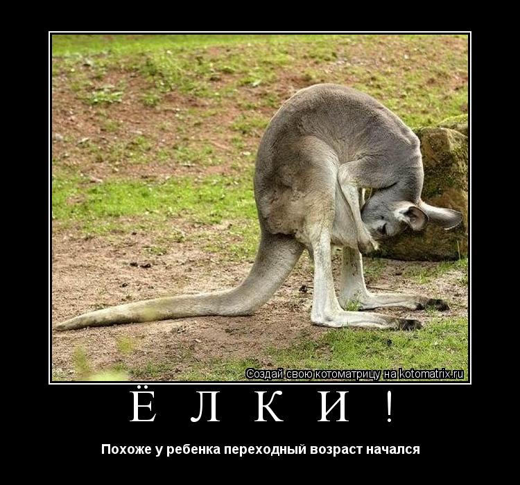 Котоматрица: Ё Л К И ! Похоже у ребенка переходный возраст начался