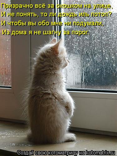 Котоматрица: Призрачно всё за окошком на улице, И не понять, то ли дождь иль потоп? И чтобы вы обо мне ни подумали, Из дома я не шагну за порог.
