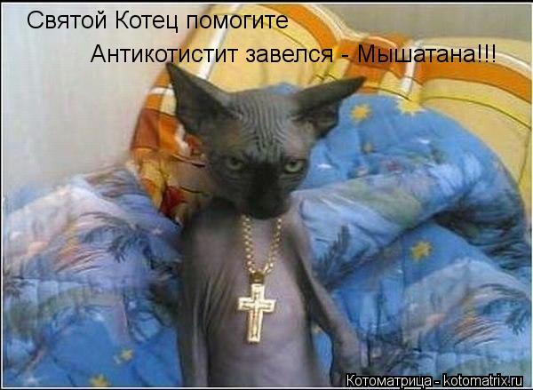 Святой Котец помогите Антикотистит завелся - Мышатана!!!... Котоматрица: Святой Котец помогите Антикотистит завелся - Мышатана!!!