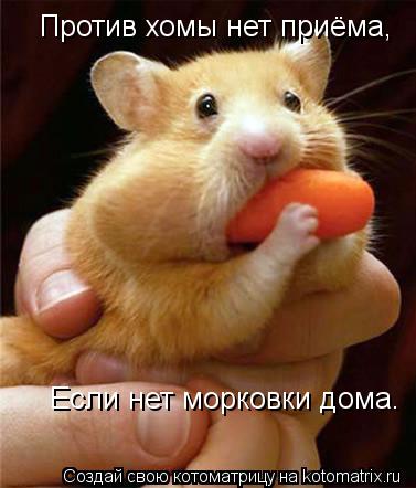 Котоматрица: Против хомы нет приёма, Если нет морковки дома.