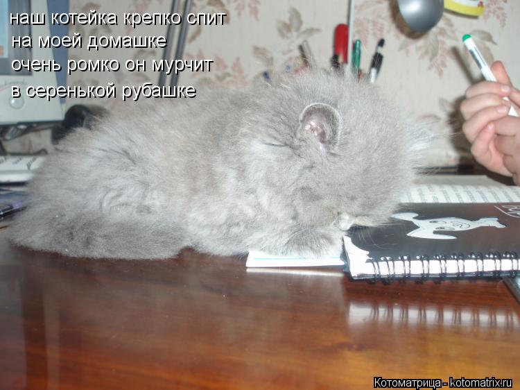 наш котейка крепко спит на моей домашке очень ромко он мурчит в серенькой рубашке... Котоматрица: наш котейка крепко спит на моей домашке очень ромко он мурчит в серенькой рубашке