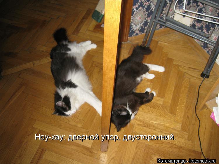 Ноу-хау: дверной упор, двусторонний.... Котоматрица: Ноу-хау: дверной упор, двусторонний.
