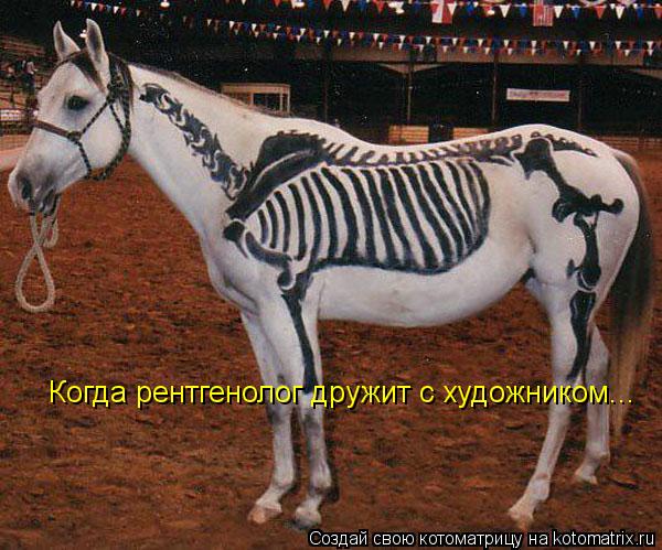 Котоматрица: Когда рентгенолог дружит с художником...