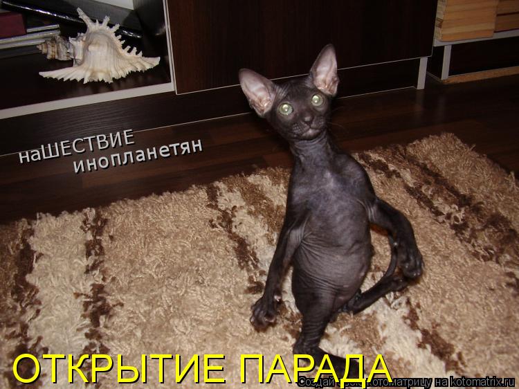 Котоматрица: инопланетян наШЕСТВИЕ ОТКРЫТИЕ ПАРАДА