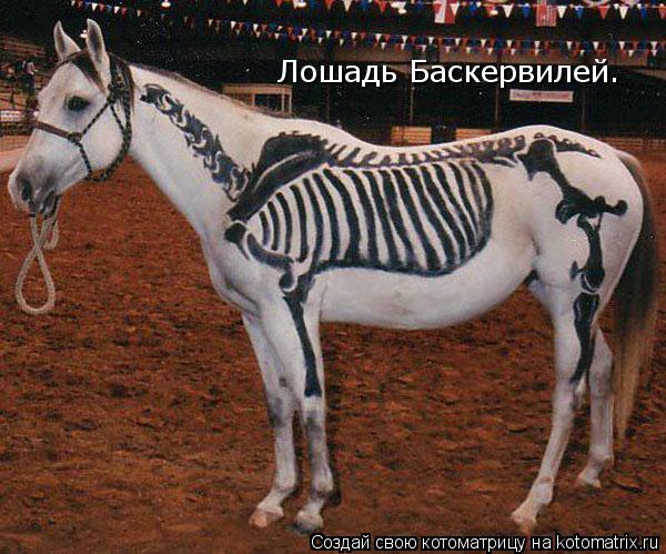 Лошадь Баскервилей.... Котоматрица: Лошадь Баскервилей.