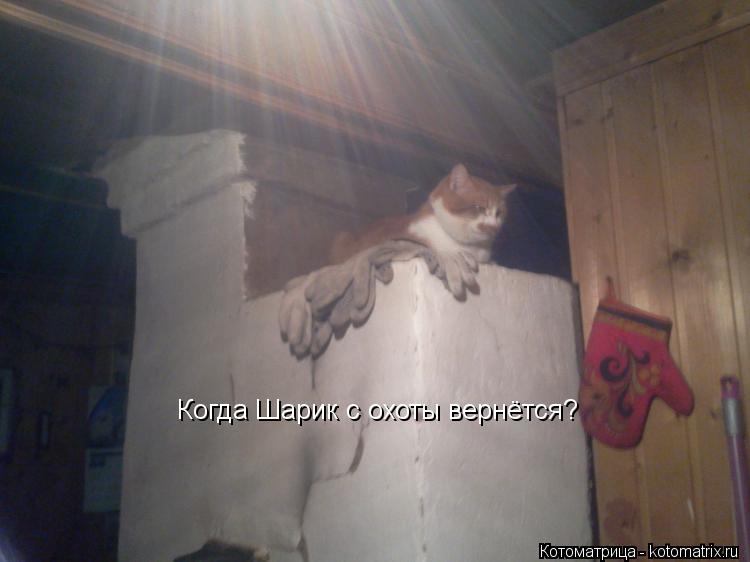 Когда Шарик с охоты вернётся?... Котоматрица: Когда Шарик с охоты вернётся?