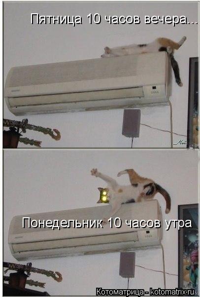 Котоматрица: Понедельник 10 часов утра Пятница 10 часов вечера...
