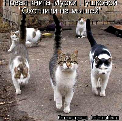 Котоматрица: Новая книга Мурки Пушковой "Охотники на мышей"