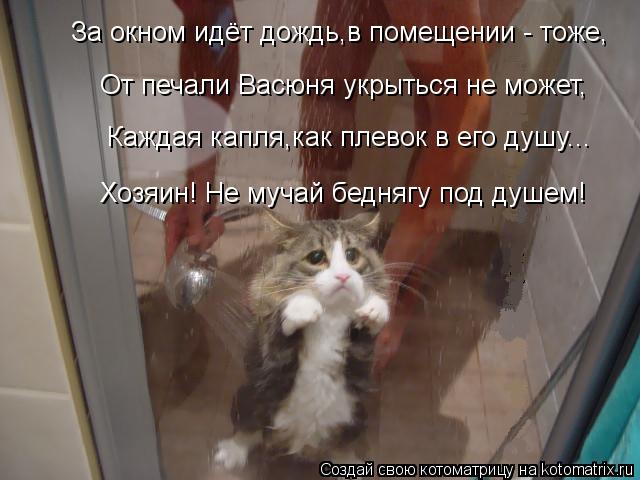 Котоматрица: За окном идёт дождь,в помещении - тоже, От печали Васюня укрыться не может, Каждая капля,как плевок в его душу... Хозяин! Не мучай беднягу под д