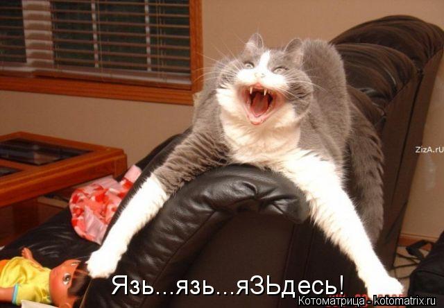 Котоматрица: Язь...язь...яЗЬдесь!