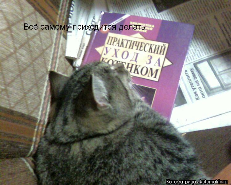 Всё самому приходится делать... Котоматрица: Всё самому приходится делать