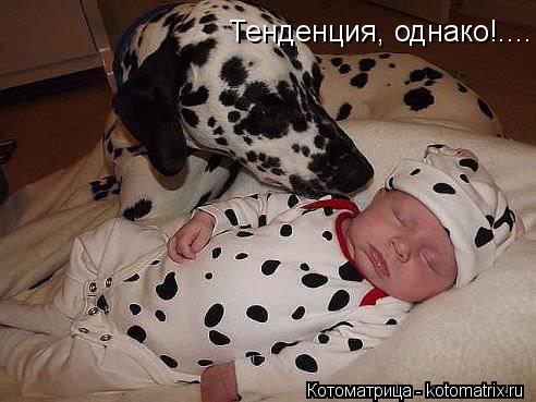 Тенденция, однако!....... Котоматрица: Тенденция, однако!....
