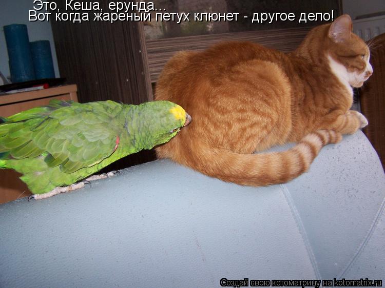 Котоматрица: Это, Кеша, ерунда... Вот когда жареный петух клюнет - другое дело!