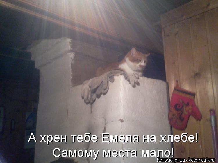 Котоматрица: А хрен тебе Емеля на хлебе!  Самому места мало!