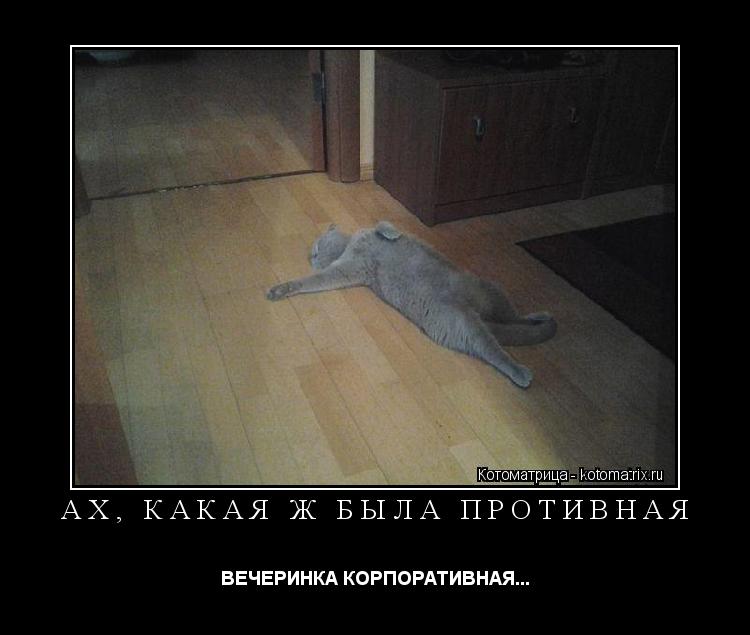 Котоматрица: АХ, КАКАЯ Ж БЫЛА ПРОТИВНАЯ ВЕЧЕРИНКА КОРПОРАТИВНАЯ...
