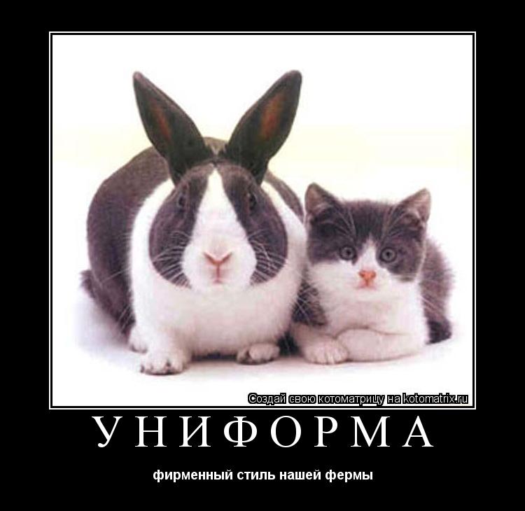 Котоматрица: УНИФОРМА фирменный стиль нашей фермы