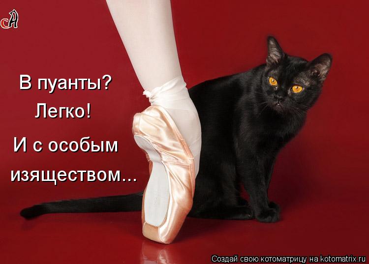 В пуанты? Легко! И с особым изяществом...... Котоматрица: В пуанты? Легко! И с особым изяществом...