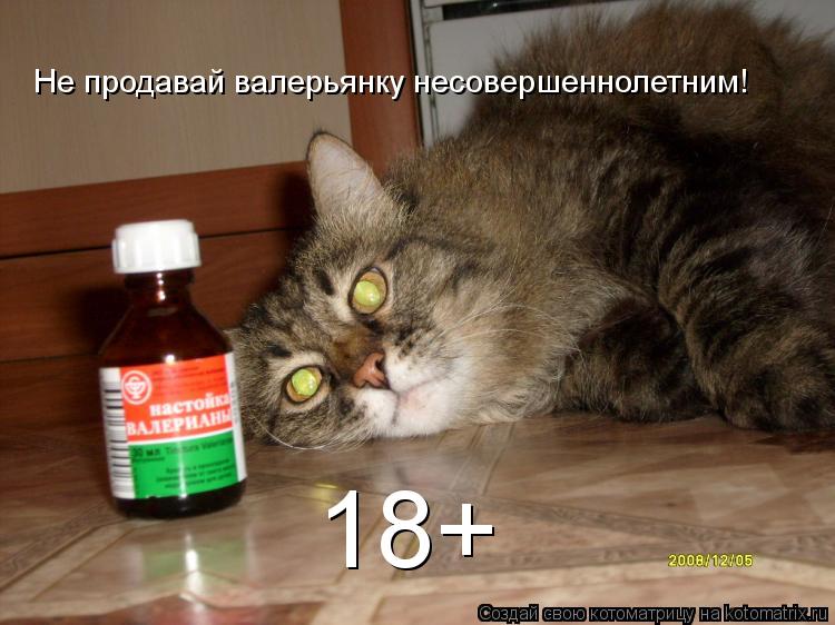 Не продавай валерьянку несовершеннолетним! 18+... Котоматрица: Не продавай валерьянку несовершеннолетним! 18+