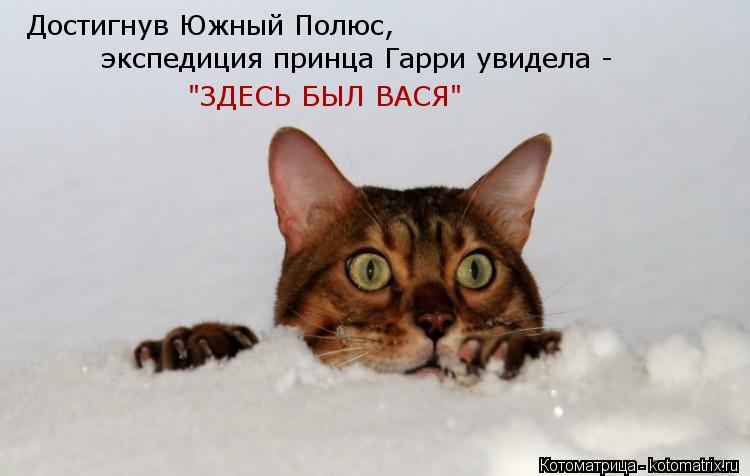 Достигнув Южный Полюс, экспедиция принца Гарри увидела - "ЗДЕСЬ БЫЛ ВАСЯ"... Котоматрица: Достигнув Южный Полюс, экспедиция принца Гарри увидела - "ЗДЕСЬ БЫЛ ВАСЯ"