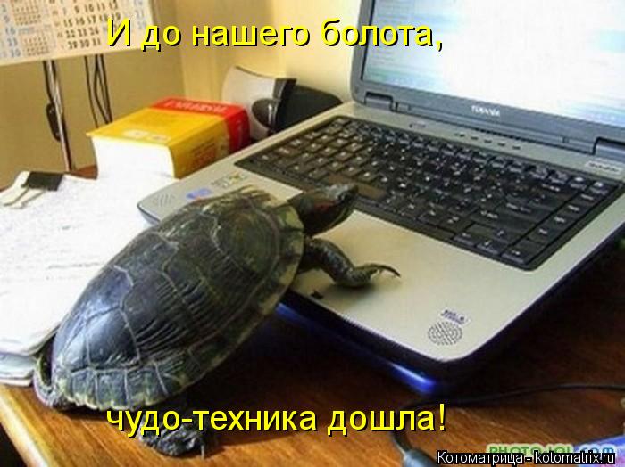 Котоматрица: И до нашего болота, чудо-техника дошла!
