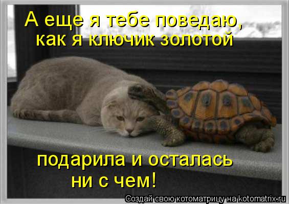 Котоматрица: А еще я тебе поведаю, как я ключик золотой подарила и осталась ни с чем!