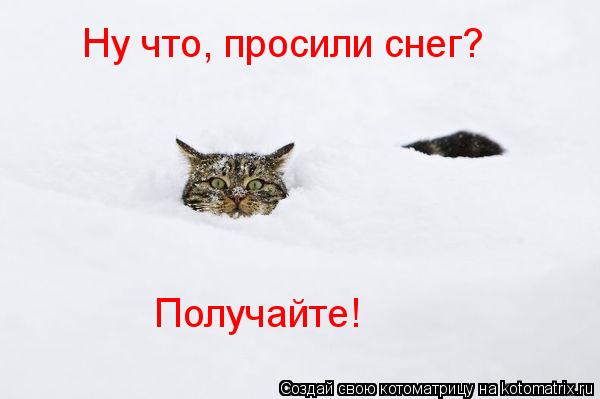 Котоматрица: Ну что, просили снег? Получайте!