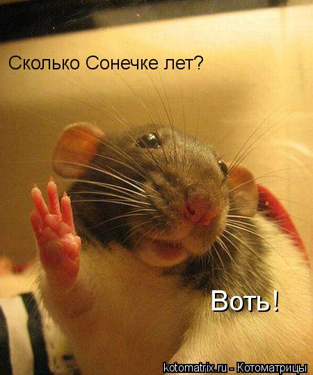 Сколько Сонечке лет? Воть!... Котоматрица: Сколько Сонечке лет? Воть!