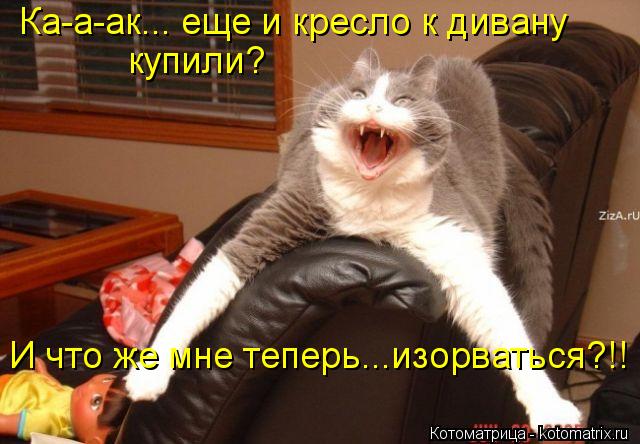 Ка-а-ак... еще и кресло к дивану купили? И что же мне теперь...изорваться?!!... Котоматрица: Ка-а-ак... еще и кресло к дивану купили? И что же мне теперь...изорваться?!!